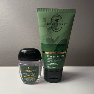 Bath & Body Works Aromatherapy Eucalyptus Spearmint Stress Relief Set